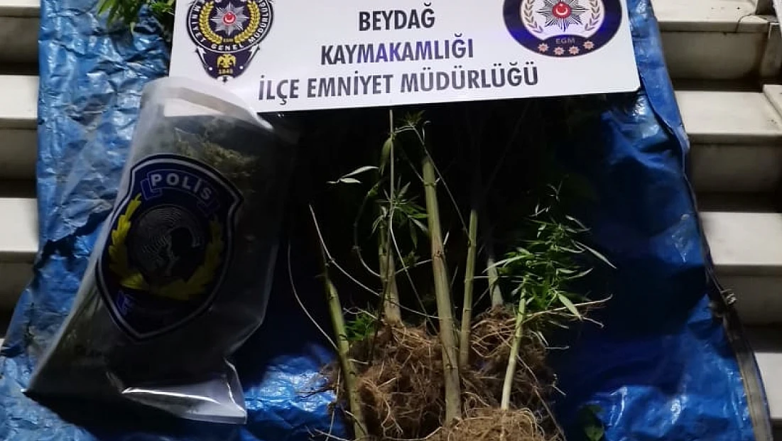 Beydağ Emniyetinden uyuşturucu operasyonu: 1 kişi tutuklandı
