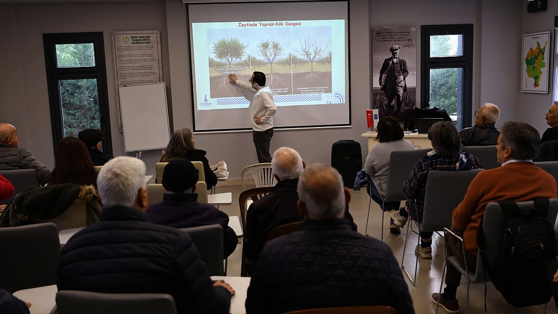Efes Selçuk’ta üreticilere yönelik zeytin Budama Eğitimi Gerçekleştirildi