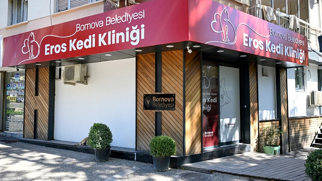 Eros kedi kliniği Bornova’da can dostlara umut oldu: 4 ayda 1901 kedi kısırlaştırıldı