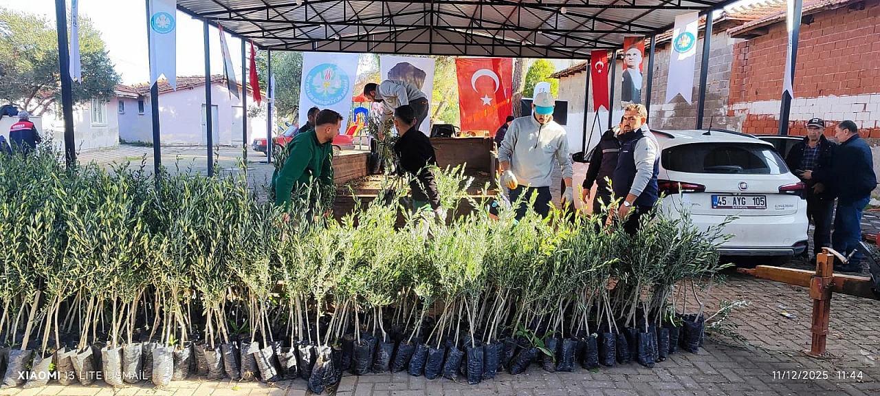 Büyükşehir'den doğal afet mağduru üreticilere fidan desteği