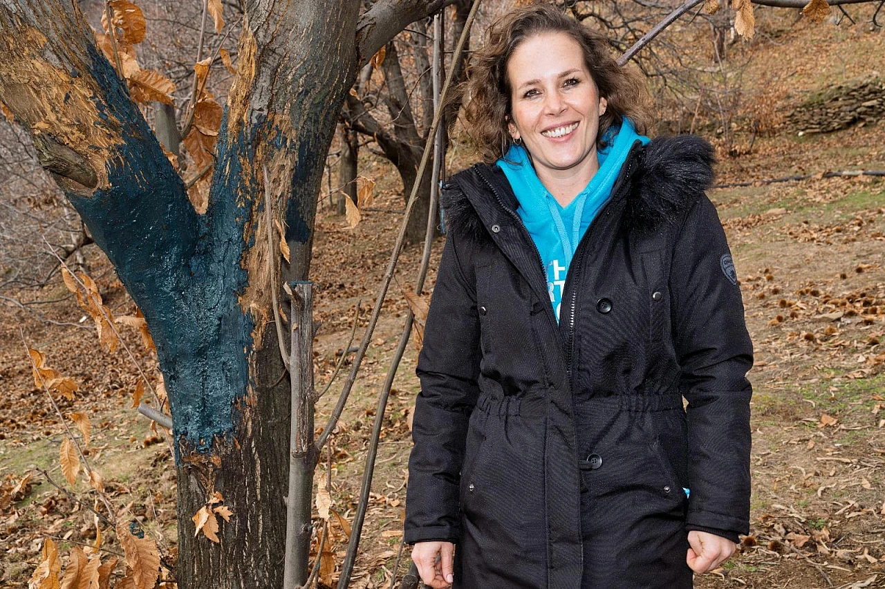 Çiftçinin korkulu rüyası 'kestane kanseri'