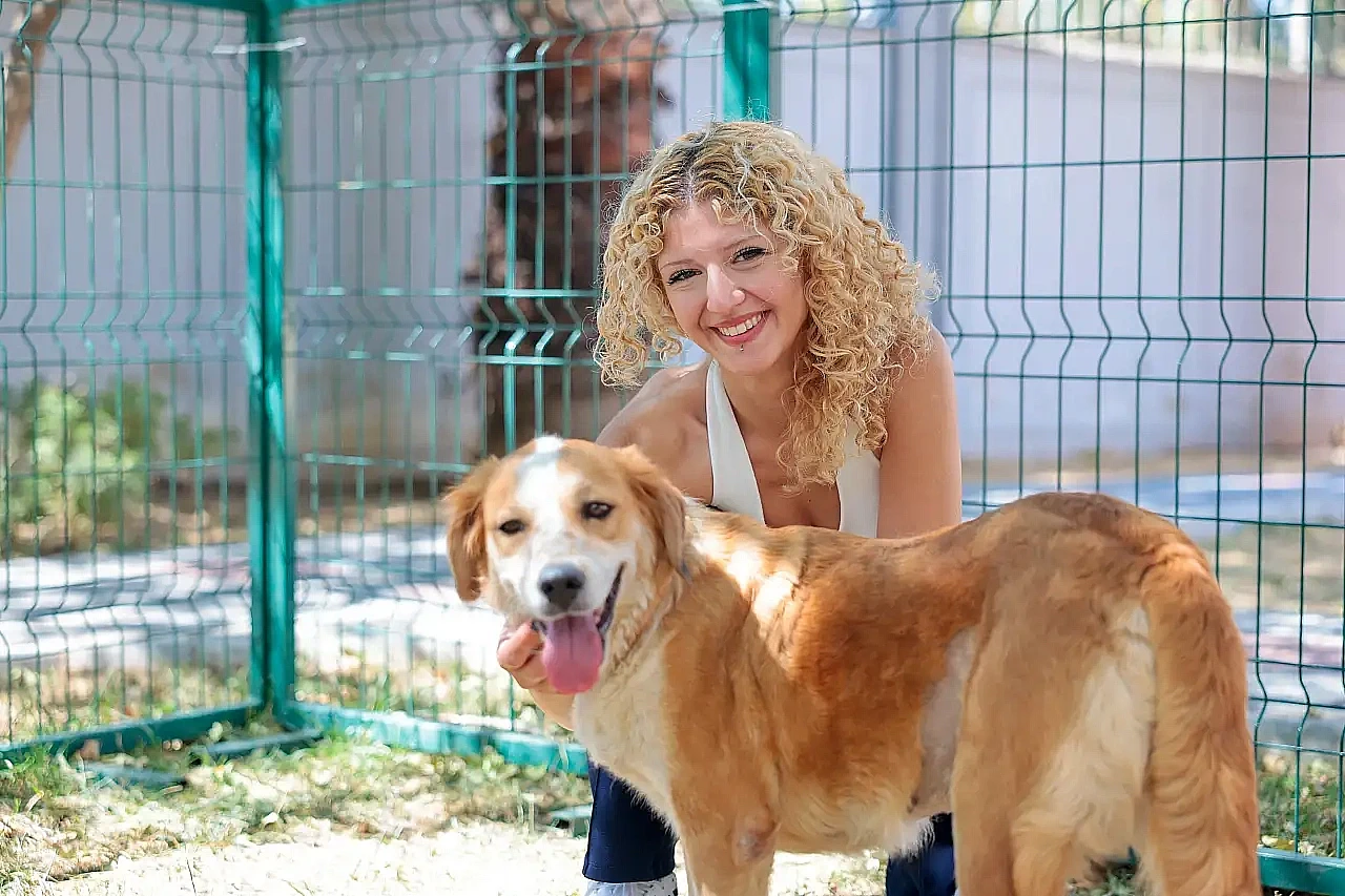 Konak'ın patili dostları ömürlük sıcak yuva arıyor