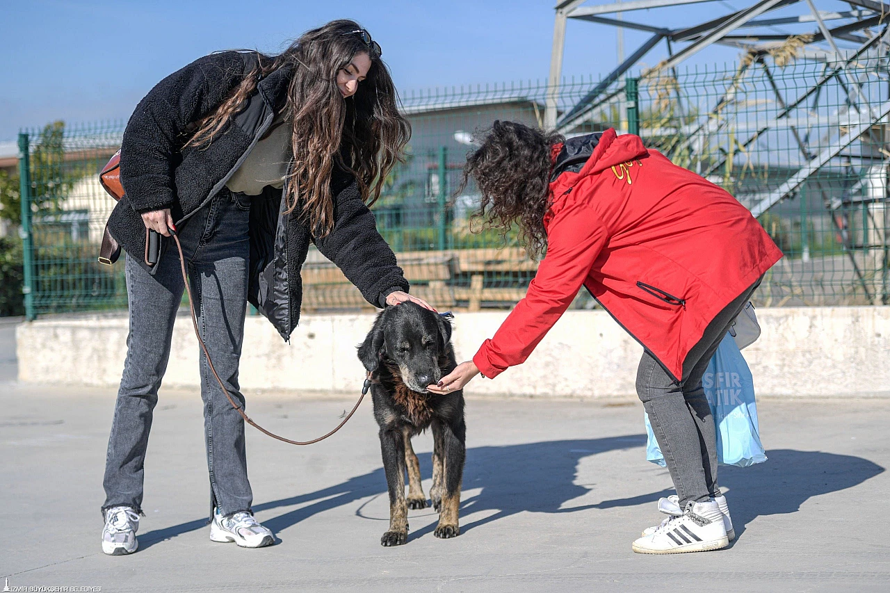 İzmir Büyükşehir Belediyesi, Menemen yangınından kurtarılan hayvanlara sahip çıktı
