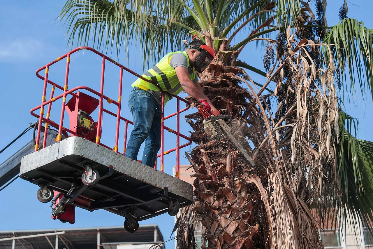 Buca'da dört koldan temizlik seferberliği