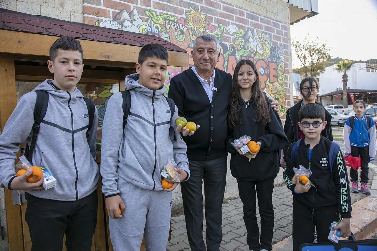 Çiftçinin mandalinası dalında kaldı, belediye topladı halka ücretsiz dağıttı