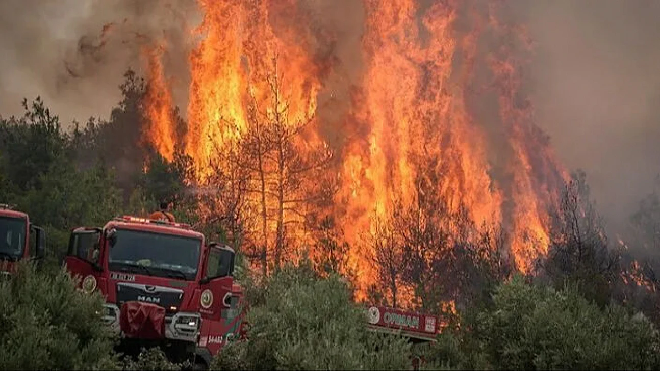 Aydın, Muğla ve Antalya'da orman yangınları: Müdahale sürüyor