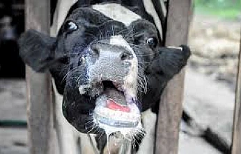 11 Mahalle karantinaya alındı