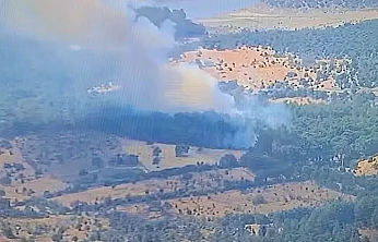 Ayvacık'ta orman yangını: Müdahale havadan ve karadan sürüyor