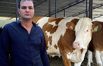 Menderes'te dananın saldırdığı adam hayatını kaybetti