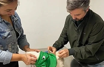 Tire İlçe Tarım ve Orman Müdürlüğü'nden evcil hayvan sahiplerine önemli uyarı