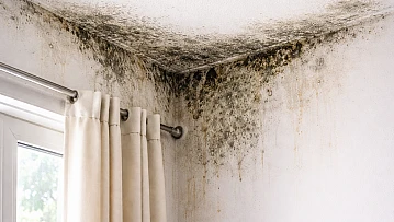 DEÜ'lü Prof. Dr. Alpaydın'dan uyarı: Nemli ve küflü evler sağlığı tehdit ediyor