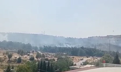 Kemalpaşa'da yangın ihbarı