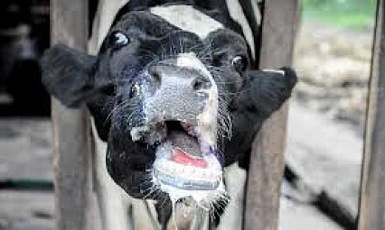 11 Mahalle karantinaya alındı