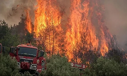 Aydın, Muğla ve Antalya'da orman yangınları: Müdahale sürüyor