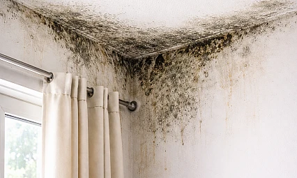 DEÜ'lü Prof. Dr. Alpaydın'dan uyarı: Nemli ve küflü evler sağlığı tehdit ediyor