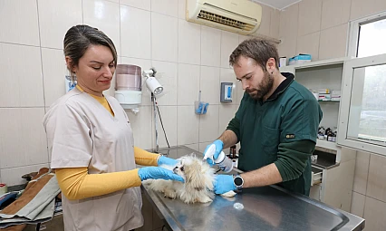 Gaziemir Belediyesi 2025'te 6 Bin 222 can dostun yaşamına dokundu