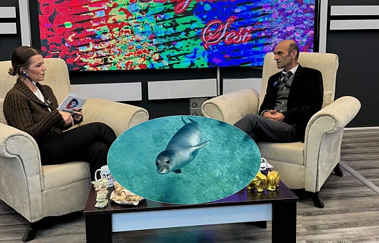 Okçuoğlu: 'Akdeniz Fokları Nadide Canlılardır'