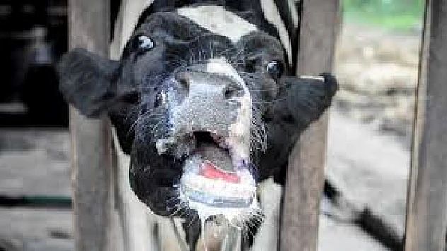 11 Mahalle karantinaya alındı