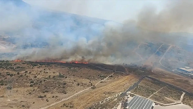 Aliağa yolu üzerindeki ormanlık alanda yangın paniği