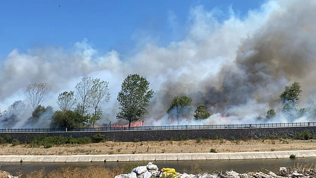Ayvacık'ta çöplük yangını ormana sıçradı: Ekipler seferber