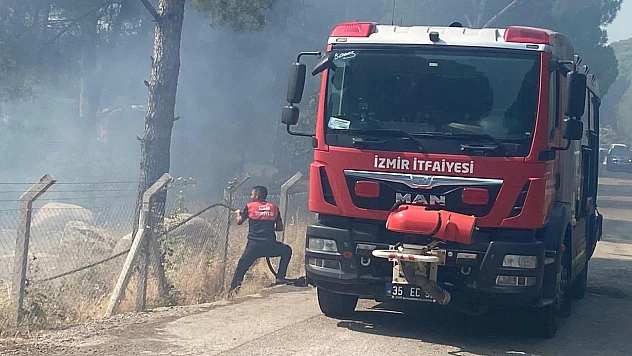 Bergama'da orman yangınına yoğun müdahale