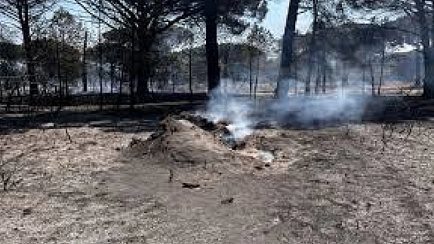 Bergama'daki orman yangını kontrol altına alındı