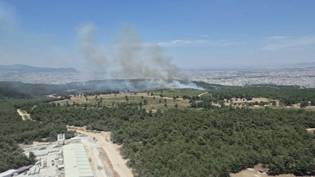 Buca Kaynaklar'da yangın paniği