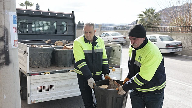 Budanan ağaçlar, ihtiyaç sahiplerine yakacak oluyor