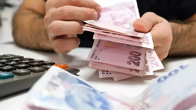 Çifte emeklilik sistemi geliyor: Tamamlayıcı Emeklilik Sistemi (TES) nedir?