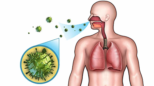 Çocuk bağışıklığında mucize sofrada: Takviyeler tek başına yeterli değil