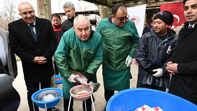 Denizli alabalık üretim üssü oldu