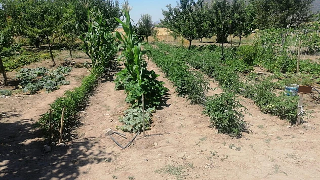 Efes Selçuk Belediyesi yerel tohumları üreticilerle buluşturmaya devam ediyor