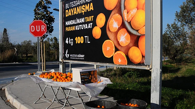 Güzelbahçe'de güven esaslı satış modeli: 'Mandalinanı Tart, Parasını Kutusuna At' uygulaması başladı