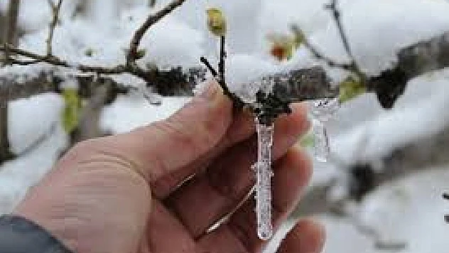 İzmir'de zirai don uyarısı: Çiftçiler için kritik günler