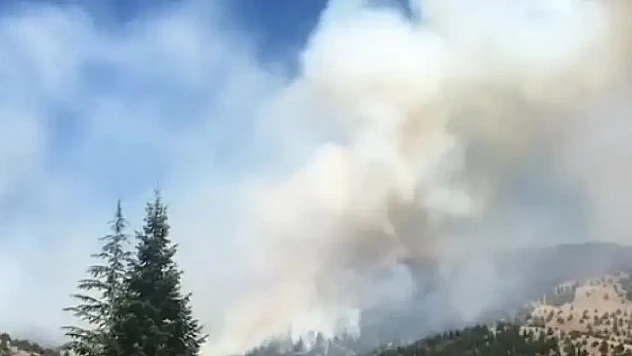 Kahramanmaraş Göksun'da orman yangını: Ekipler müdahale ediyor
