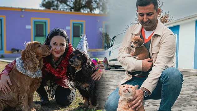 Kuşadası Belediyesi, 526 Kedi ve Köpeğe Yuva Oldu