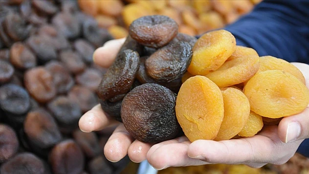 Malatya'dan kuru kayısı ihracatında rekor gelir