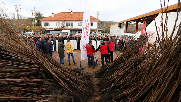 Muğla'da Üreticilere Cennet Elması Fidanı Dağıtıldı