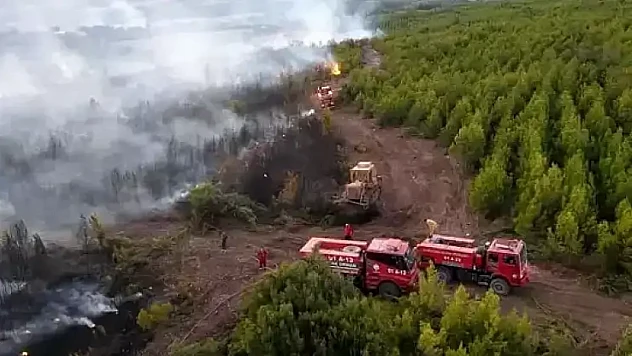 Osmaniye'de orman yangınına müdahale eden arazöz devrildi: 1 orman işçisi şehit