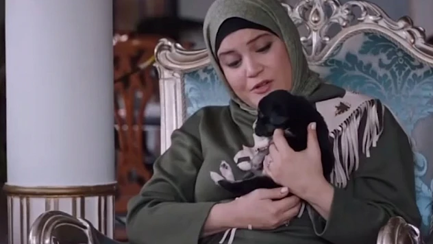 Sağlık Bakanlığı'ndan Kızılcık Şerbeti'ndeki köpek ifadelerine yanıt