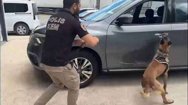TEM Otoyolu'nda durdurulan araçta 82 kilo metamfetamin bulundu, sürücü gözaltına alındı.