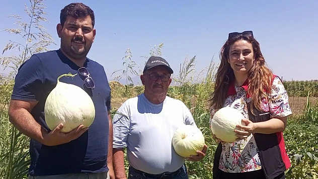 Tire'de ürün hasatlarına tarım müdürlüğü desteği