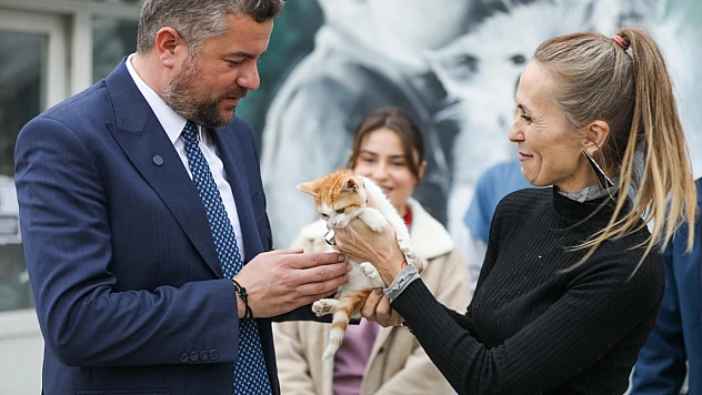 Yaşama Tutunan Yavru Kediye 'Mucize' Adı Verildi