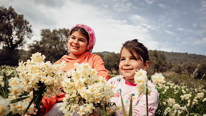 '4. Nergis ve Kuru Çiçek Festivali' başlıyor