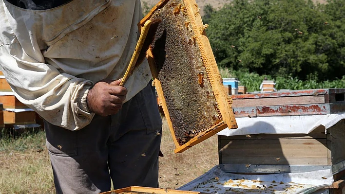 AB tescilli ürün sayısı artıyor! Bitlis balı da listede