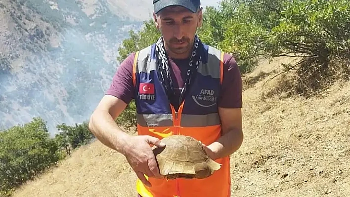 AFAD Gönüllüsünden yangın ortasında duygulandıran kurtarma