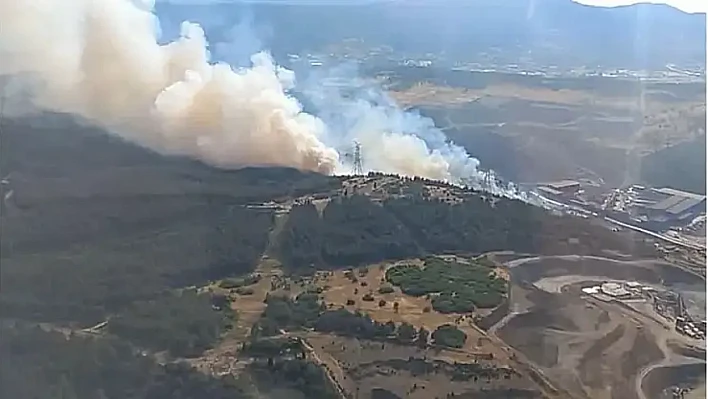 Aliağa'da orman yangını paniği
