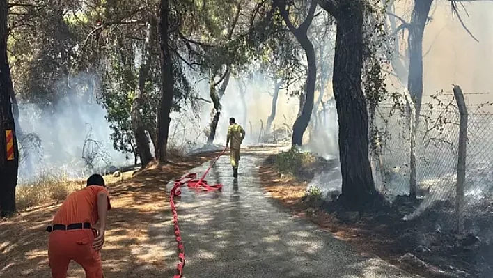 Antalya'da orman yangını