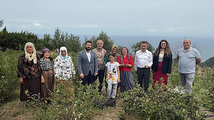 Aronya Akçaabat'tan dünya pazarına açılıyor