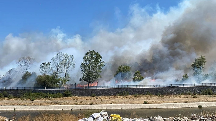 Ayvacık'ta çöplük yangını ormana sıçradı: Ekipler seferber